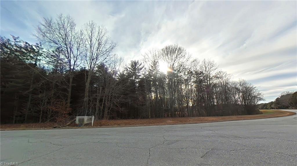 0 Eden Road Stoneville, NC 27048 - Photo 4 of 19