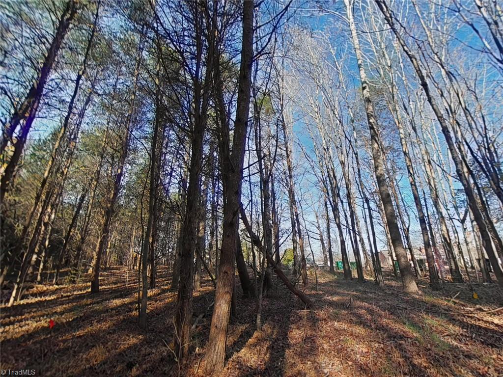 0 Eden Road Stoneville, NC 27048 - Photo 5 of 19