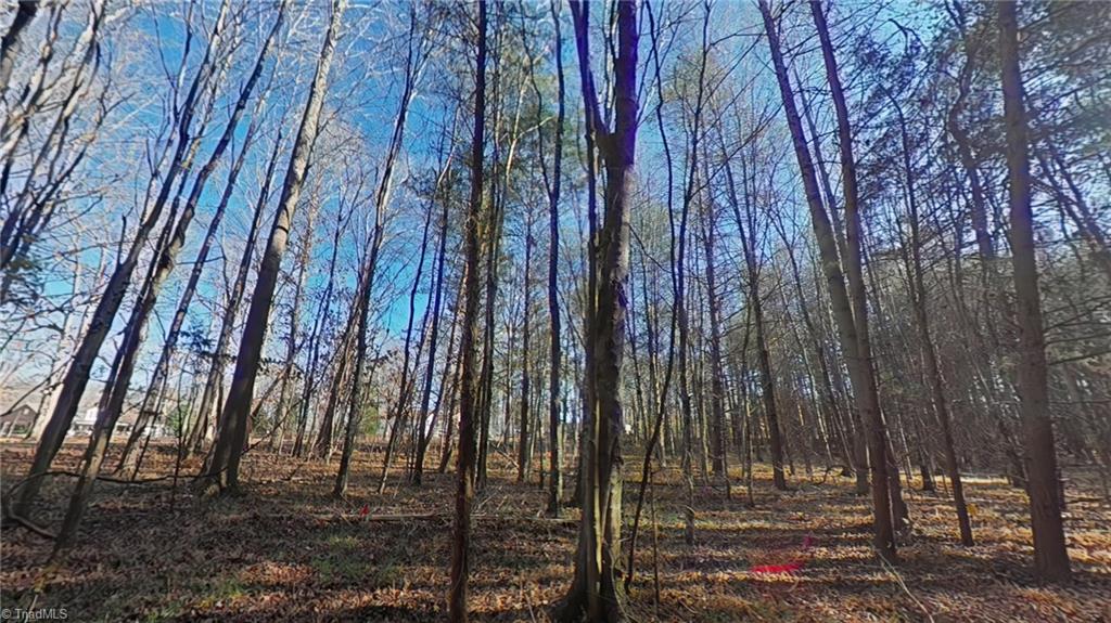 0 Eden Road Stoneville, NC 27048 - Photo 6 of 19