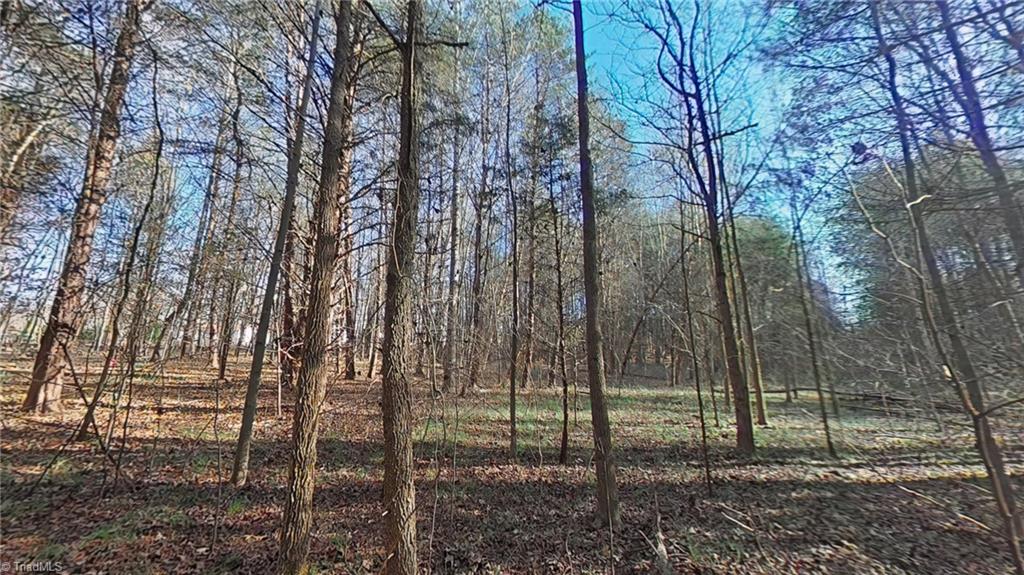 0 Eden Road Stoneville, NC 27048 - Photo 7 of 19