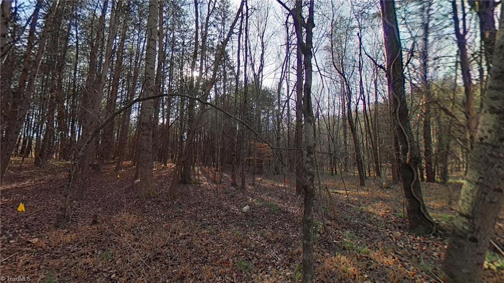 0 Eden Road Stoneville, NC 27048 - Photo 8 of 19