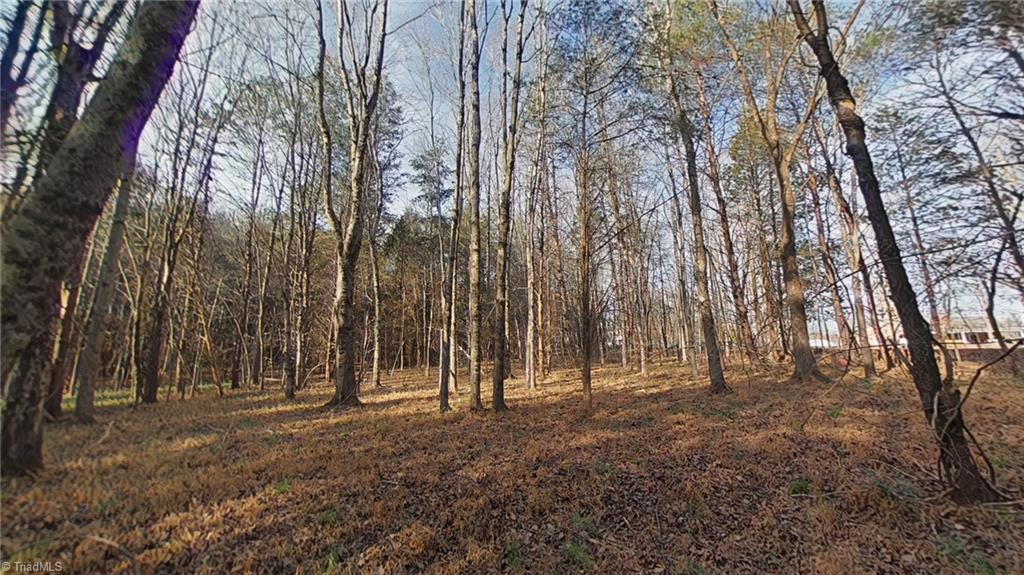 0 Eden Road Stoneville, NC 27048 - Photo 9 of 19