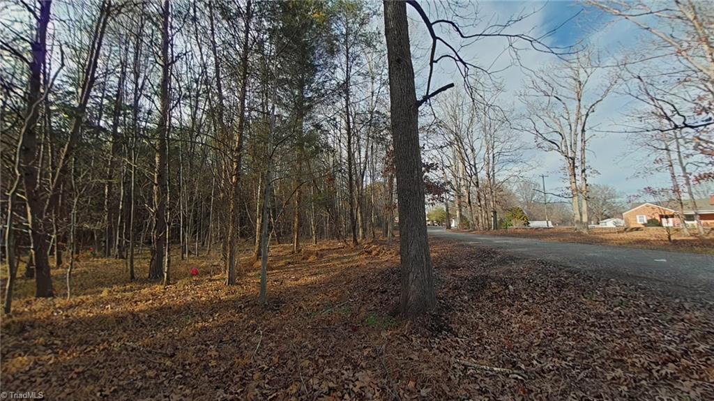 0 Eden Road Stoneville, NC 27048 - Photo 10 of 19