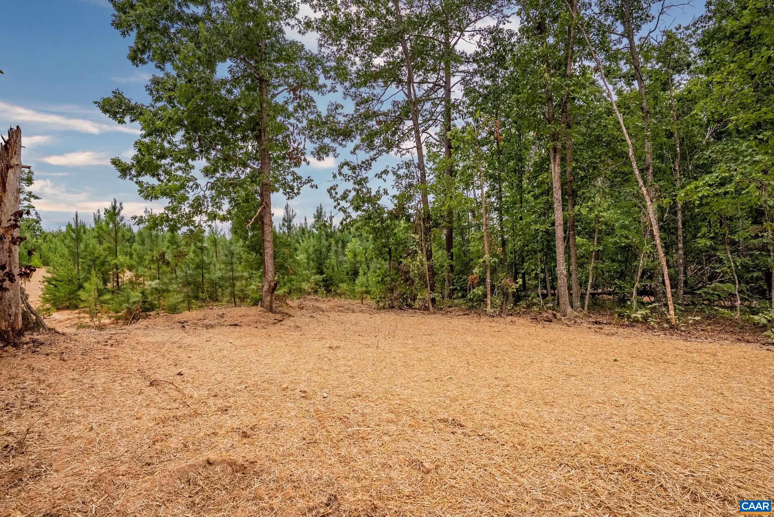 594 Community Road Dillwyn, VA 23936 - Photo 41 of 48 a backyard of a house with lots of trees