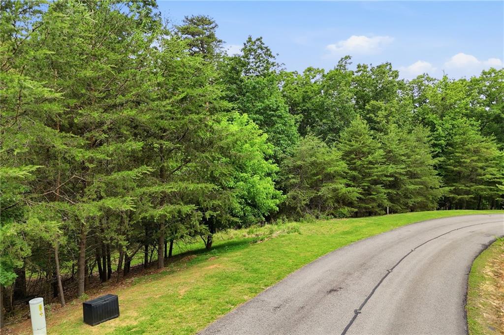 0 Owl Ridge Way Jasper, GA 30143 - Photo 21 of 22 a view of a garden with a building in the background