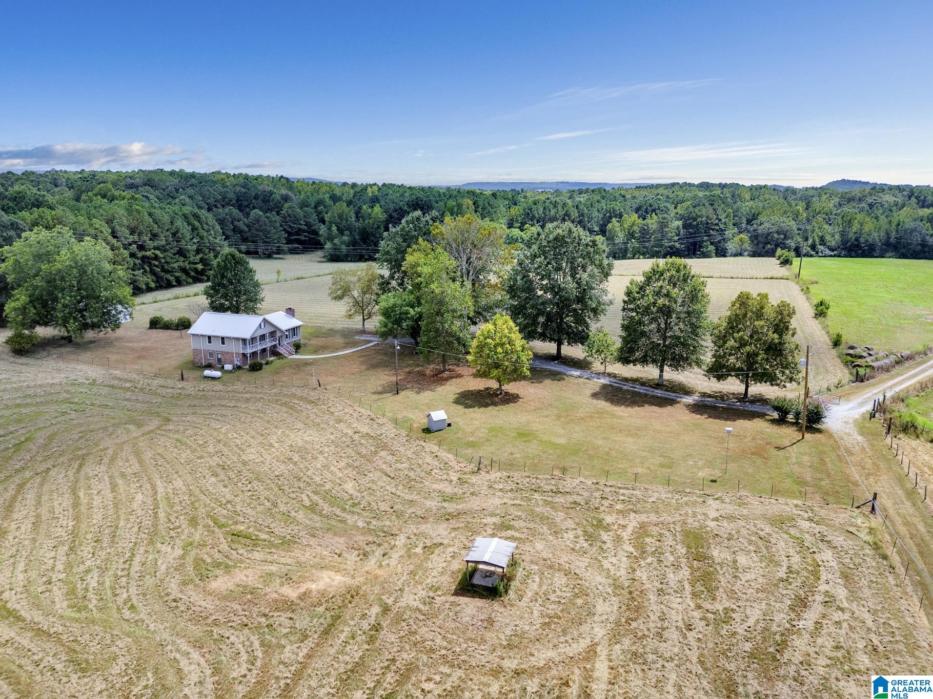 275 Dock Marsh Road Cleveland, AL 35049 - Photo 2 of 34