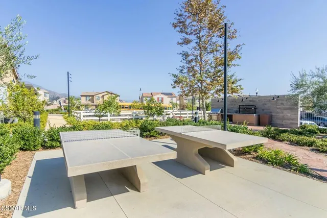 a street view with a large trees