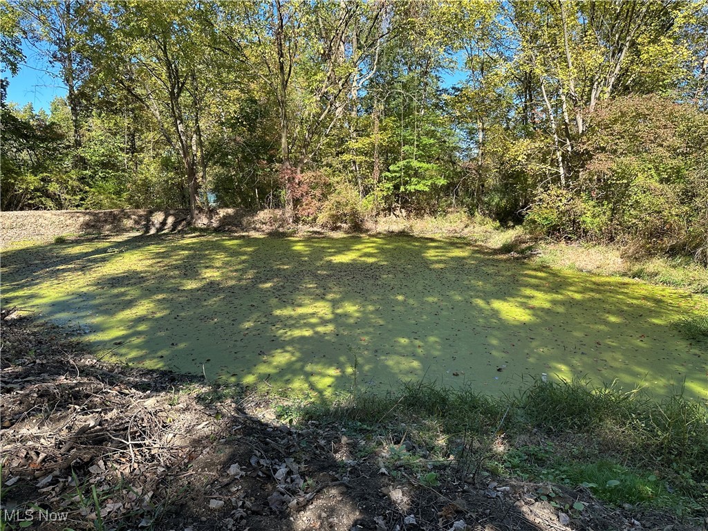 7320 Fenner Road Shelby, OH 44875 - Photo 19 of 21 View of green lawn