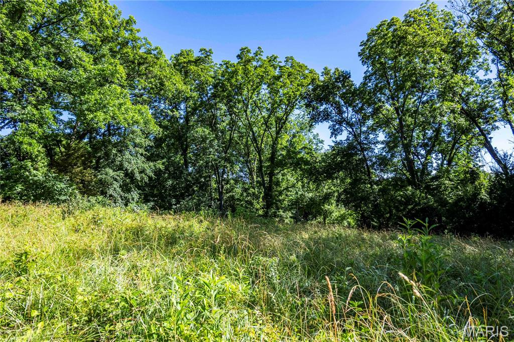 0 County 455 Road New Franklin, MO 65274 - Photo 28 of 67