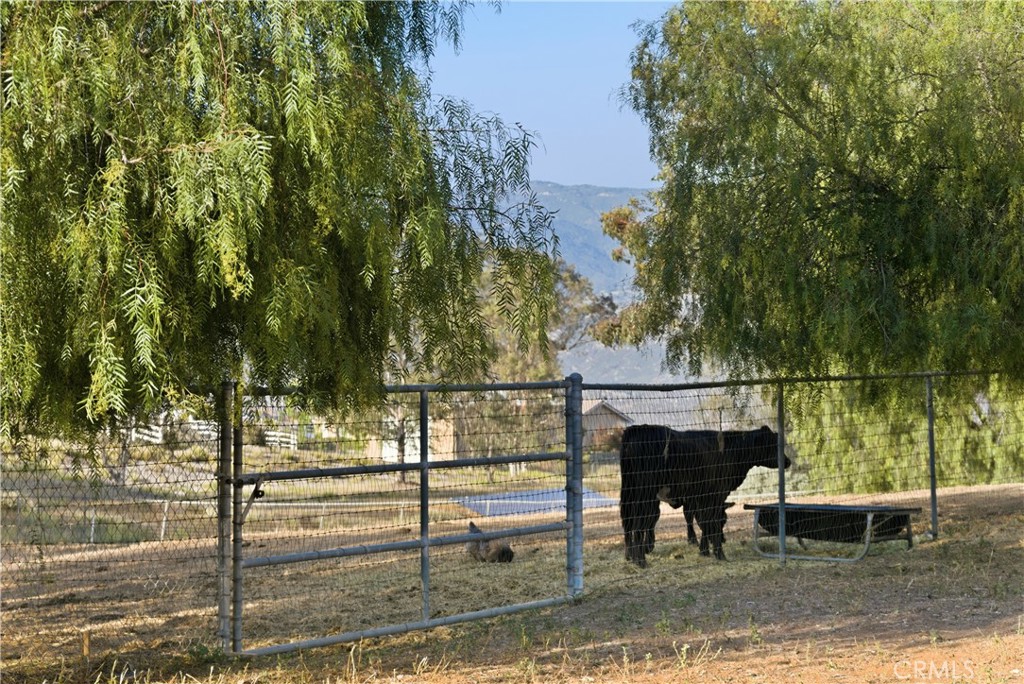 29271 The Yellow Brick Road Valley Center, CA 92082 - Photo 54 of 66