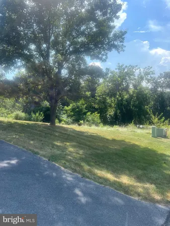 a view of outdoor space with trees all around