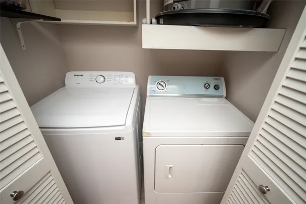 a view of a yard with trees