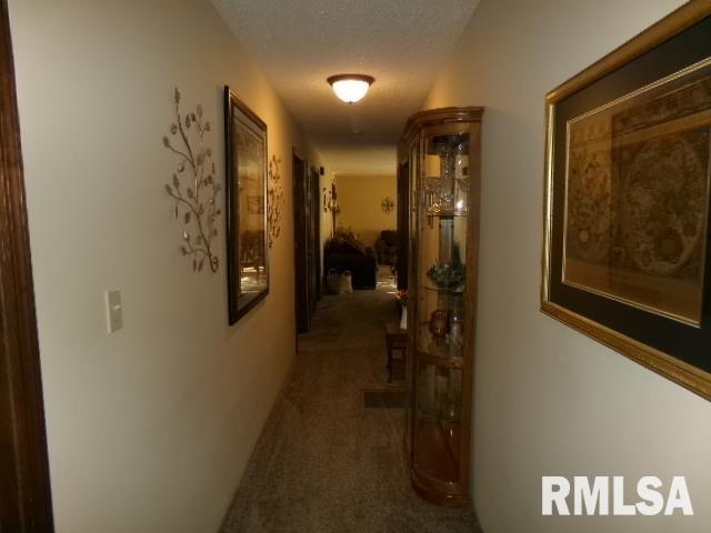 2225 Route 34 Route Rosiclare, IL 62982 - Photo 24 of 83 Gallery Image 24