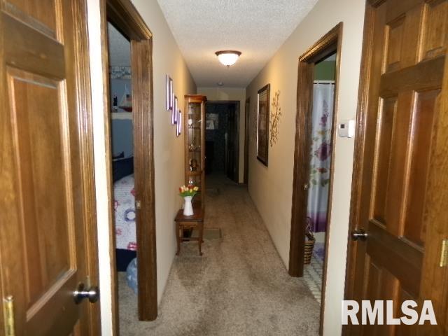 2225 Route 34 Route Rosiclare, IL 62982 - Photo 25 of 83 Gallery Image 25