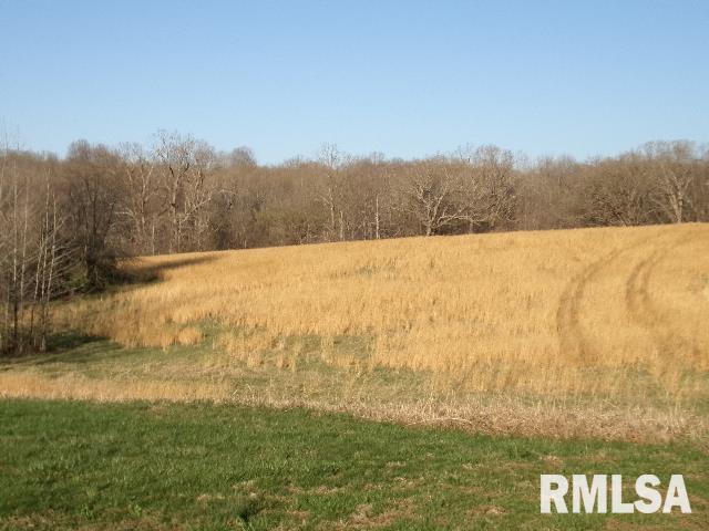2225 Route 34 Route Rosiclare, IL 62982 - Photo 31 of 83 Gallery Image 31