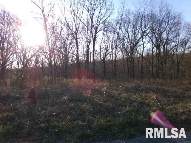2225 Route 34 Route Rosiclare, IL 62982 - Photo 33 of 83 Gallery Image 33