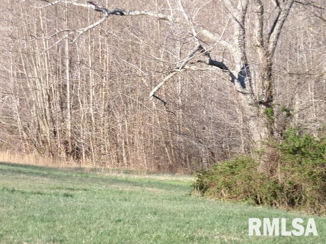 2225 Route 34 Route Rosiclare, IL 62982 - Photo 34 of 83 Gallery Image 34
