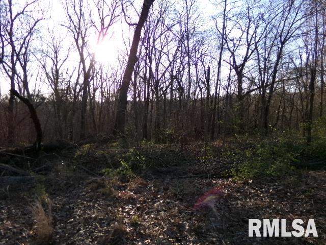 2225 Route 34 Route Rosiclare, IL 62982 - Photo 37 of 83 Gallery Image 37