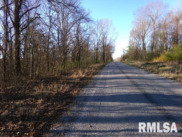 2225 Route 34 Route Rosiclare, IL 62982 - Photo 38 of 83 Gallery Image 38