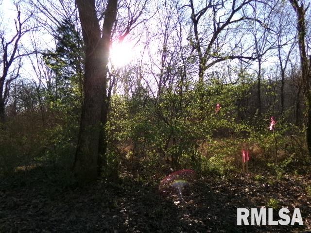 2225 Route 34 Route Rosiclare, IL 62982 - Photo 40 of 83 Gallery Image 40