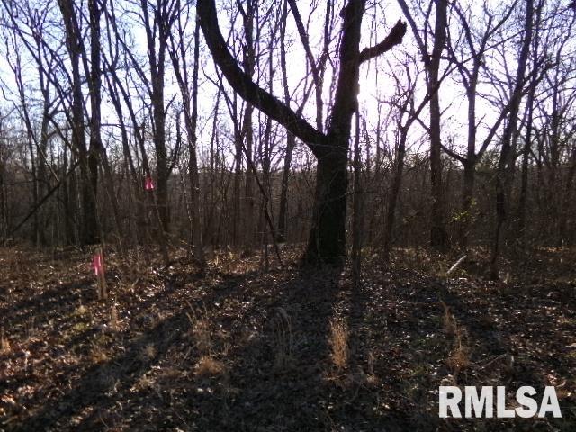 2225 Route 34 Route Rosiclare, IL 62982 - Photo 50 of 83 Gallery Image 50