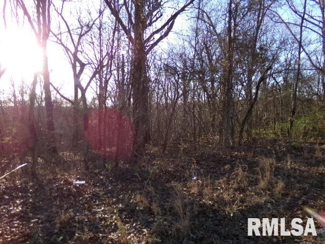 2225 Route 34 Route Rosiclare, IL 62982 - Photo 52 of 83 Gallery Image 52