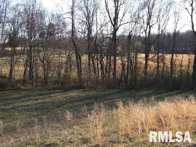 2225 Route 34 Route Rosiclare, IL 62982 - Photo 53 of 83 Gallery Image 53