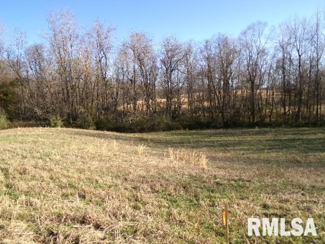 2225 Route 34 Route Rosiclare, IL 62982 - Photo 54 of 83 Gallery Image 54