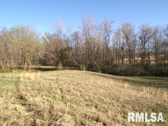 2225 Route 34 Route Rosiclare, IL 62982 - Photo 56 of 83 Gallery Image 56