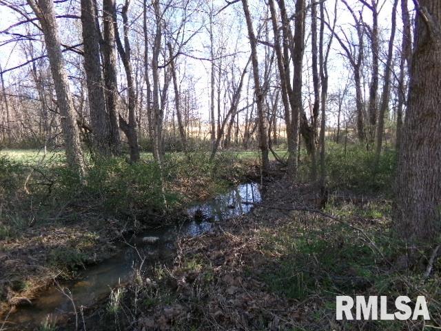2225 Route 34 Route Rosiclare, IL 62982 - Photo 57 of 83 Gallery Image 57