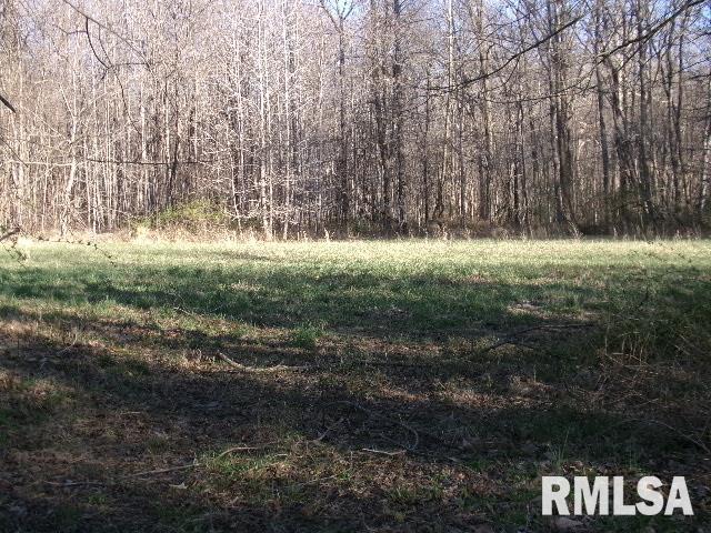 2225 Route 34 Route Rosiclare, IL 62982 - Photo 58 of 83 Gallery Image 58