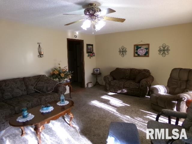 2225 Route 34 Route Rosiclare, IL 62982 - Photo 6 of 83 Gallery Image 6
