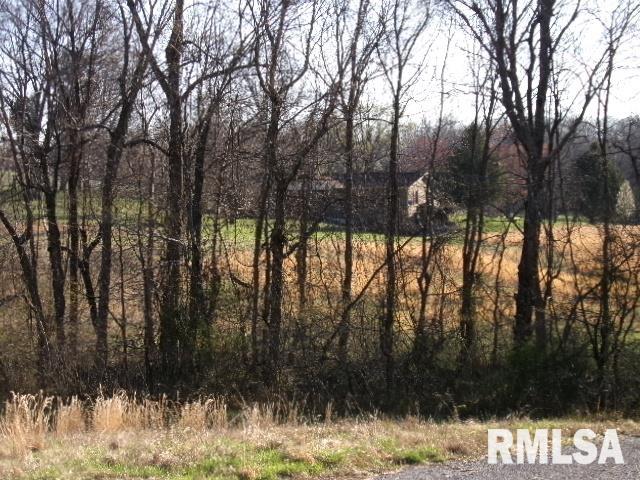 2225 Route 34 Route Rosiclare, IL 62982 - Photo 62 of 83 Gallery Image 62