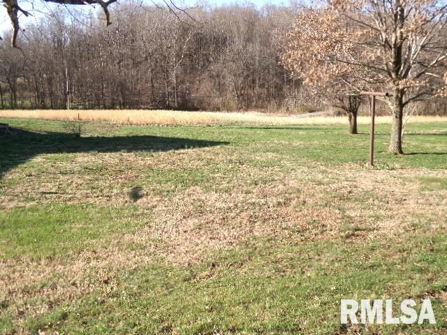 2225 Route 34 Route Rosiclare, IL 62982 - Photo 79 of 83 Gallery Image 79