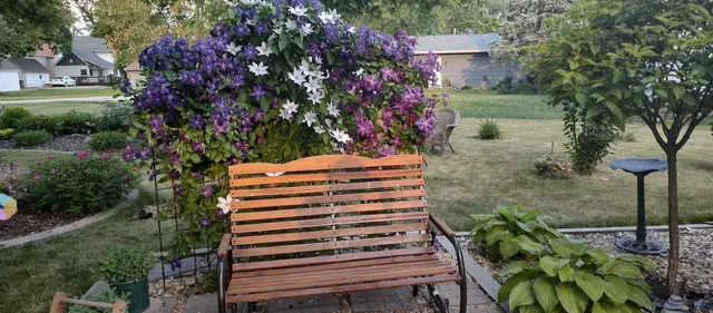 $289,900 | 146 West Washington Avenue, Alden, MN 56009