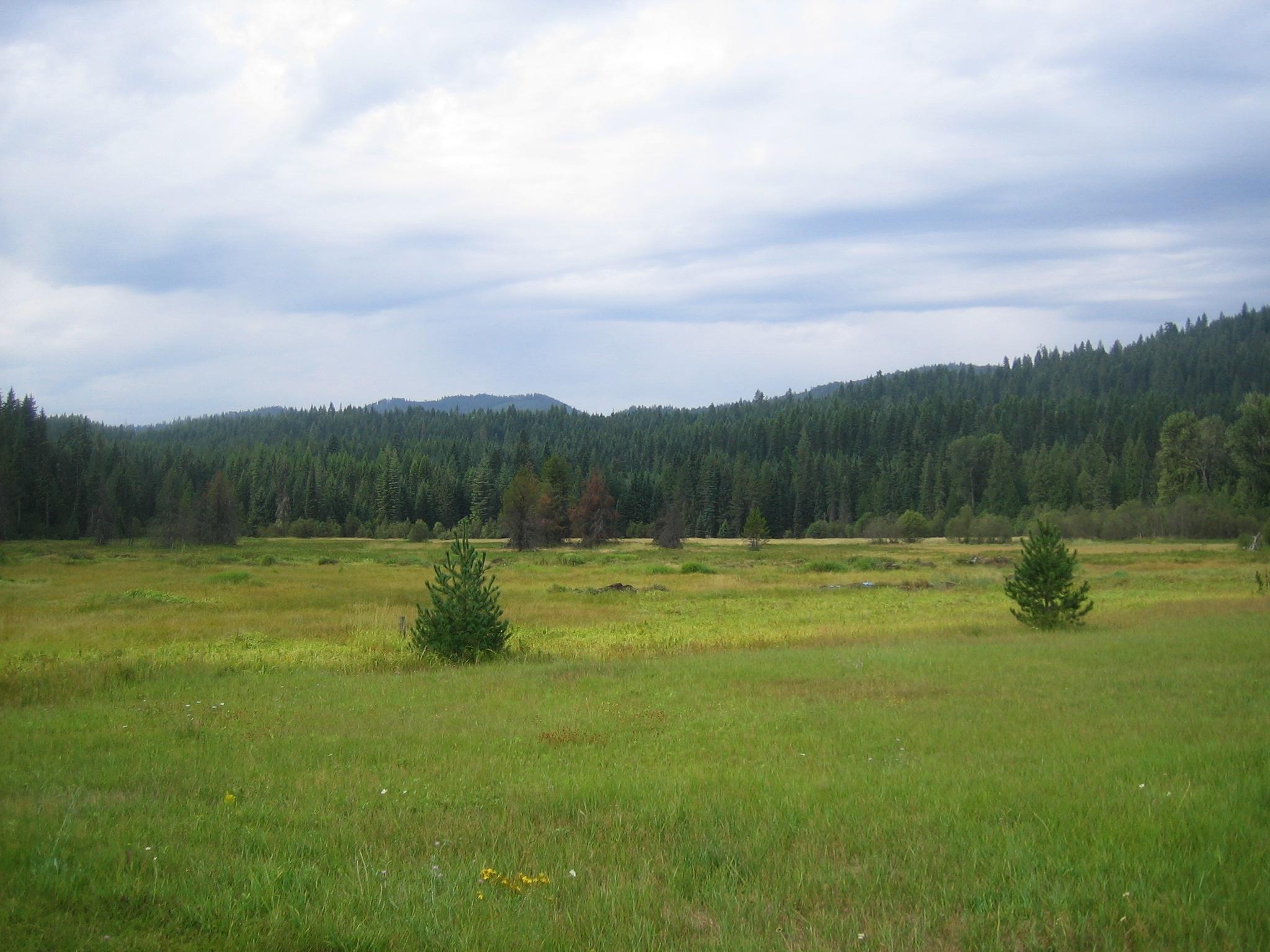 Nna Ravin Ranch Road Nordman, ID 83848 - Photo 1 of 1 Raven Ranch Rd