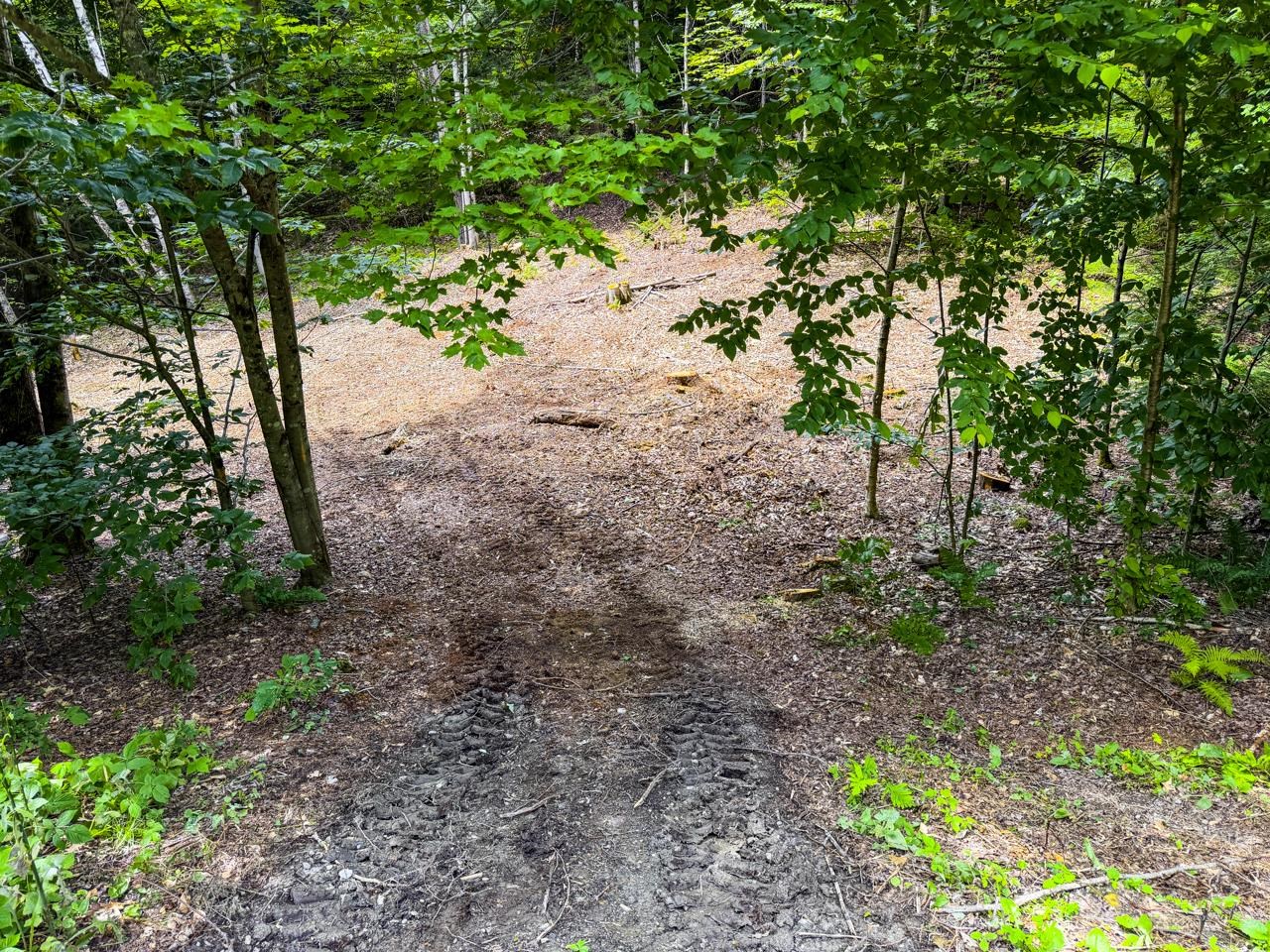 Tbd Taylor Road, Unit 9 Waterbury, VT 05676 - Photo 10 of 39 Gallery Image 10