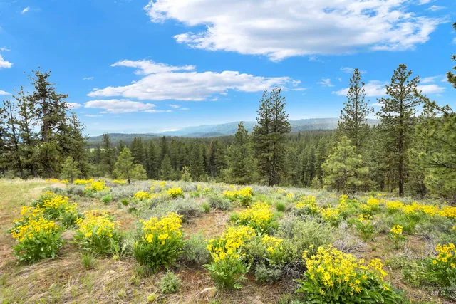 $249,900 | Lot 7 Van Dorn Drive, New Meadows, ID 83654
