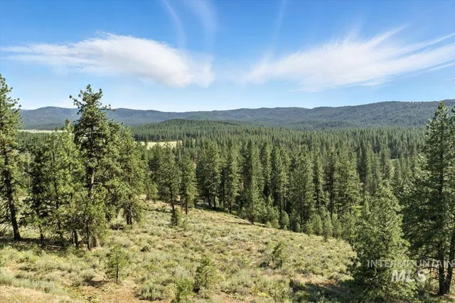 $249,900 | Lot 7 Van Dorn Drive, New Meadows, ID 83654