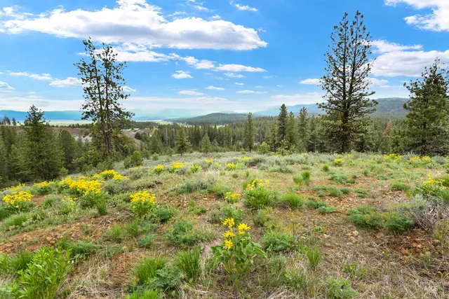 $249,900 | Lot 7 Van Dorn Drive, New Meadows, ID 83654