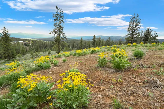 $249,900 | Lot 7 Van Dorn Drive, New Meadows, ID 83654