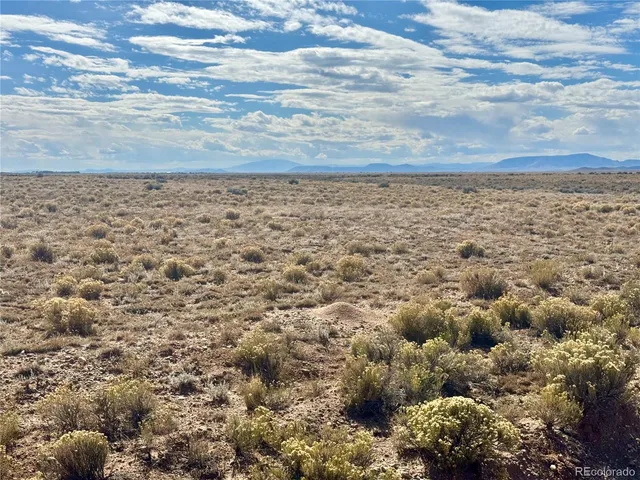 a view of a dry yard