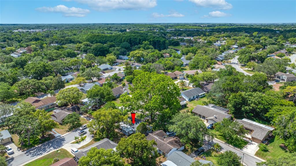 8705 Powderhorn Row Hudson, FL 34667 - Photo 48 of 49