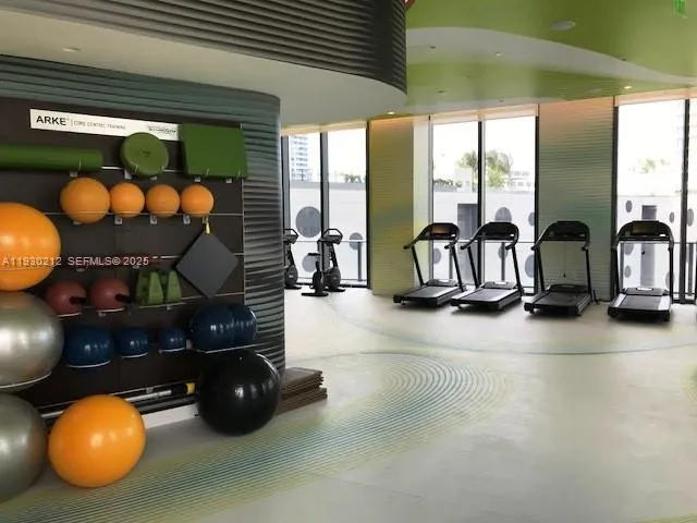 a view of play room with toys and a potted plant