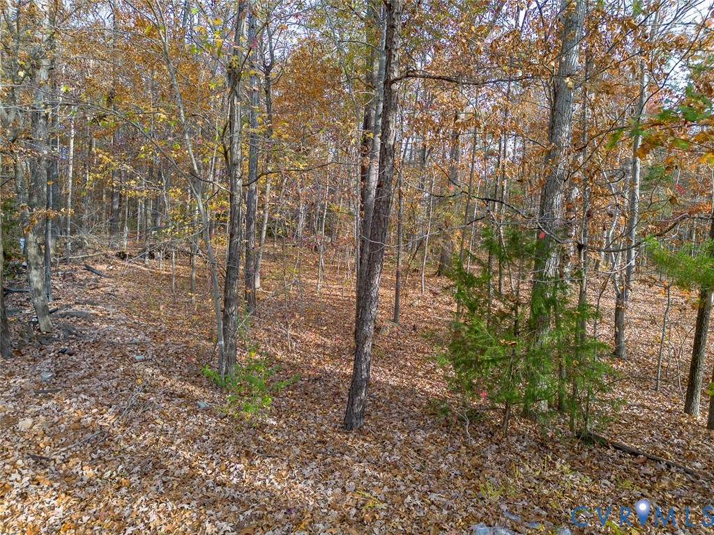 0 Creekmore Road Henrico, VA 23238 - Photo 1 of 7