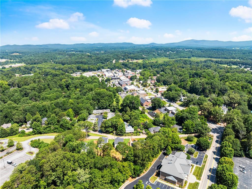 172 Llewellyn Street Clarkesville, GA 30523 - Photo 48 of 49 a view of a city