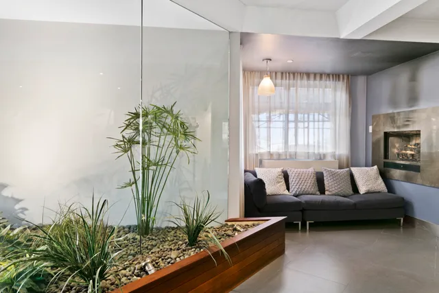 a living room with furniture and a potted plant