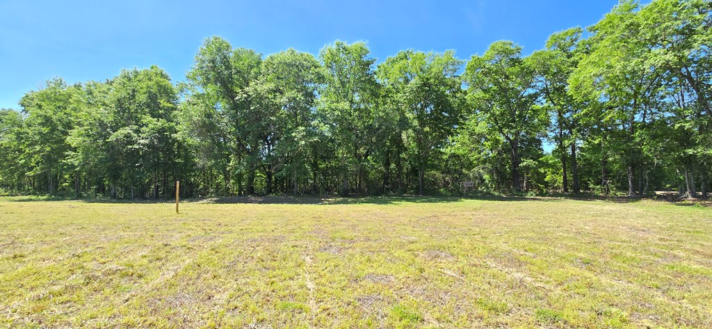800 Grady Garner Road Slocomb, AL 36375 - Photo 14 of 49