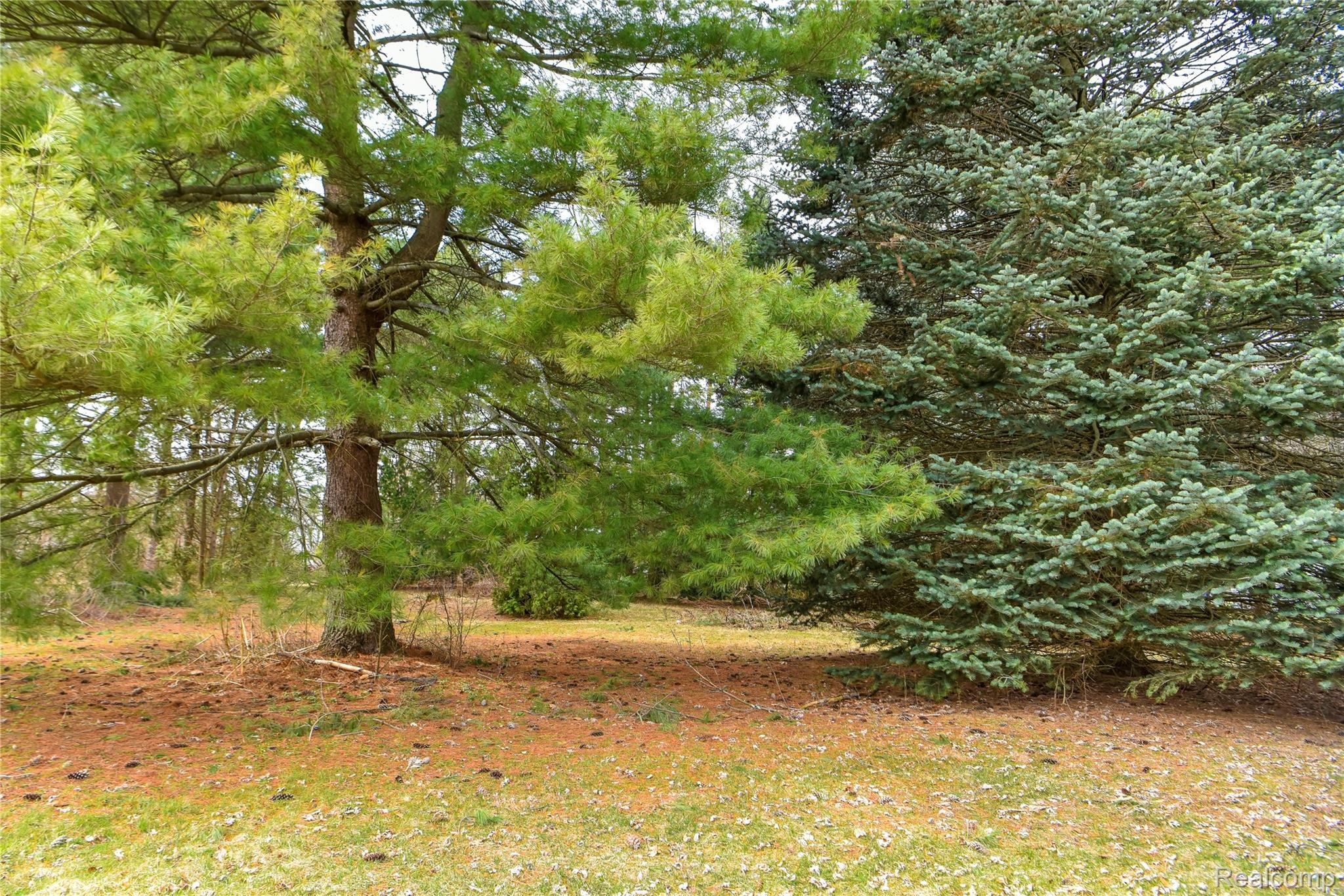 Lot 64 Merry Road Waterford, MI 48328 - Photo 11 of 26 1493 Vacant Lot for MLS (11).jpg