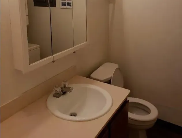 a bathroom with a sink and toilet